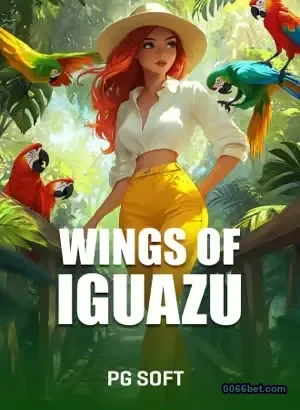 Serviços VIP no 0066bet.com